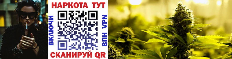 Где можно купить наркотики Шатура Конопля  Меф мяу мяу  Кокаин  Alpha PVP  Гашиш 