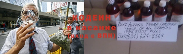 эйфоретик Алзамай