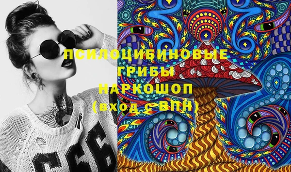 эйфоретик Алзамай